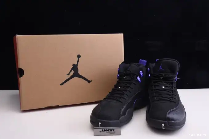 Kicktheory Air Retro 'Dark 12 CT8013 Concord' 005 Jordan 0524